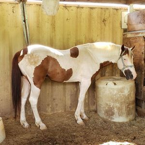 Meet your Posher, Jerome